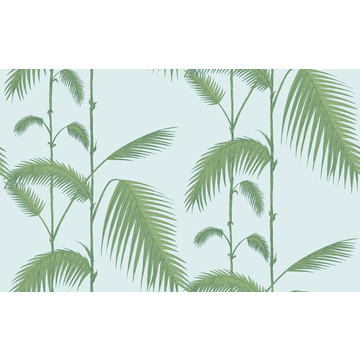 Palm Leaves 66/2010 