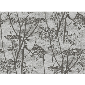 Cow Parsley 95/9050