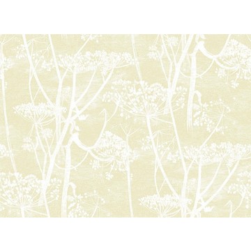 Cow Parsley 95/9053