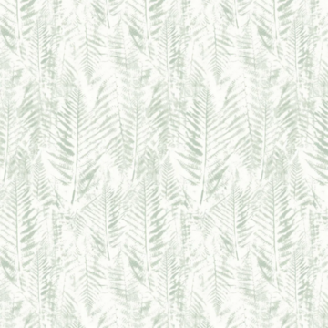 Kayu Ecalyptus HAW0342-02