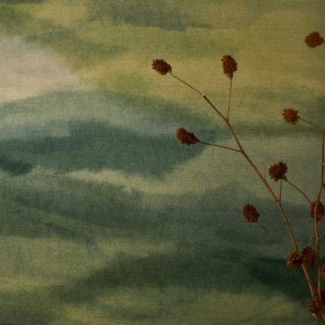minako evergreen-amb