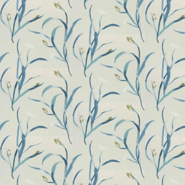 Saona Atlantic/Julip HAW0347-02