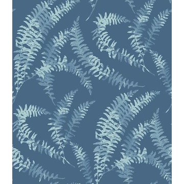 Felci Azure 1905-125-02