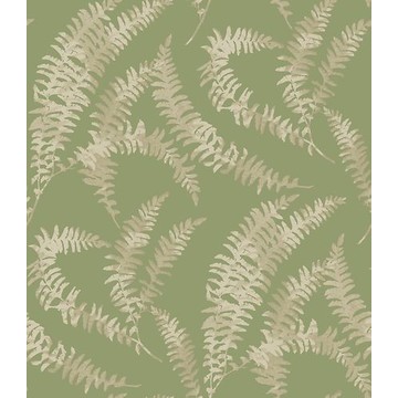 Felci Olive Green 1905-125-04