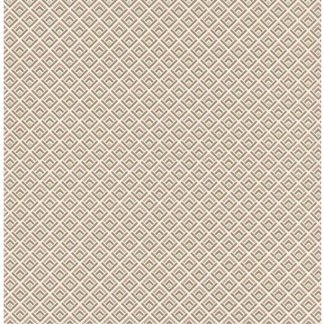 Gio Pink/Gold 1703-112-04