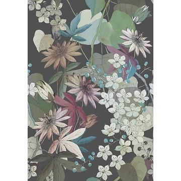 Clematis Ebony 1906-131-01