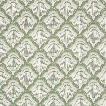 Calico Shell - Verde 2412-179-02