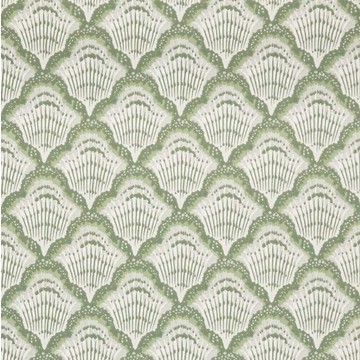 Calico Shell - Verde 2412-179-02