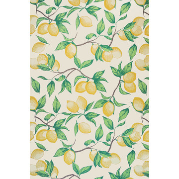 Capri Lemons Natural BG2300102