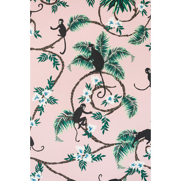 Monkey Pale Pink BG/TW01/02