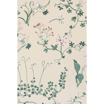 Botanica Ivory BG2400202