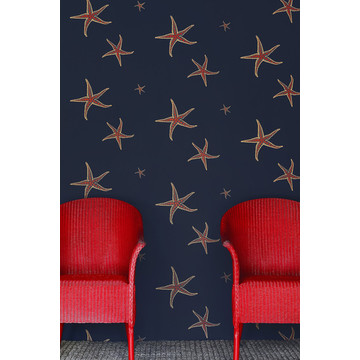 Starfish-Navy-Sienna amb