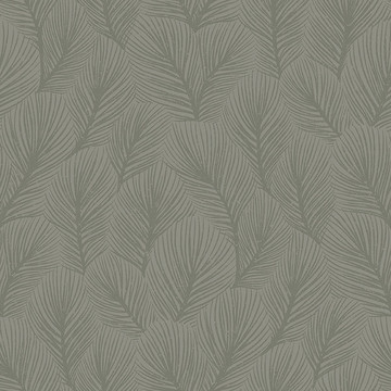 Pine Tree 4704