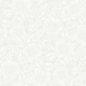 Borosan 21 8616