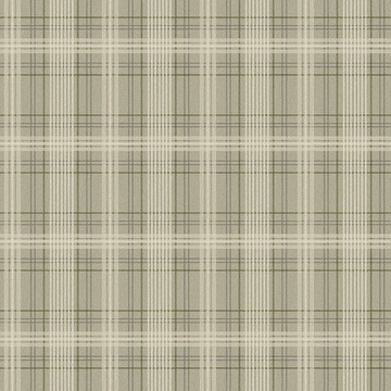 Tailor's Tweed 3577