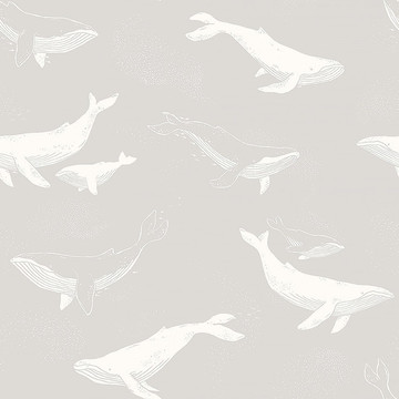 Whales 7452