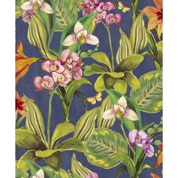 Breeze Orchid BR24081