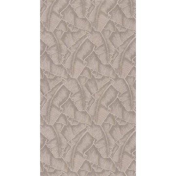 Selva CBBA 8432 12 02