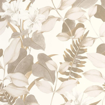 Royal Lily SOLI 20026 13 03