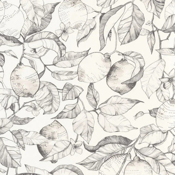 Lemon Tree SOLI 20027 09 00