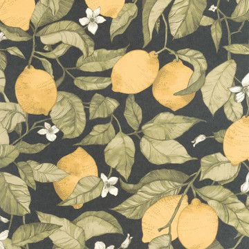 Lemon Tree SOLI 20027 27 27