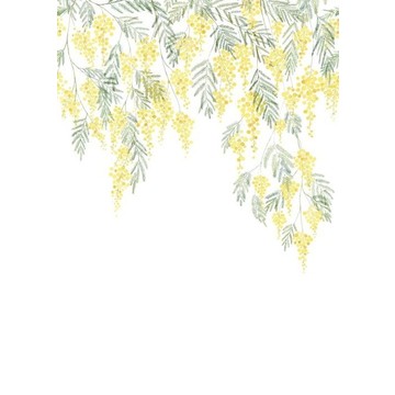 Mimosa WDWS 8917 22 05 (paneeli)