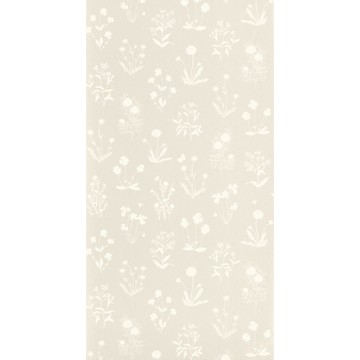 Herbier GADN 8762 12 18