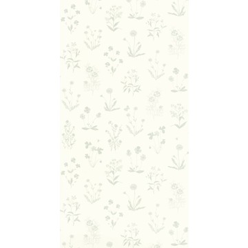 Herbier GADN 8762 62 09