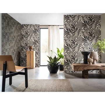 CASAMANCE_ALOES Noir - 75183886 amb