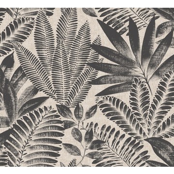 CASAMANCE_ALOES Noir - 75183886