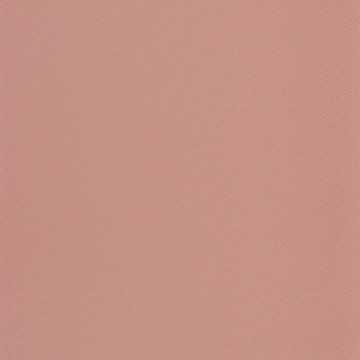 Goma OYS 10040 41 17
