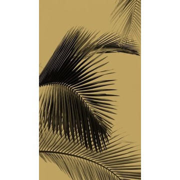 Honey Palm MLG 10129 20 98 (paneeli)