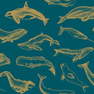 Whale Done SYO 10279 62 03