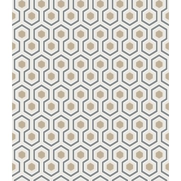 Hicks' Hexagon 95/3016