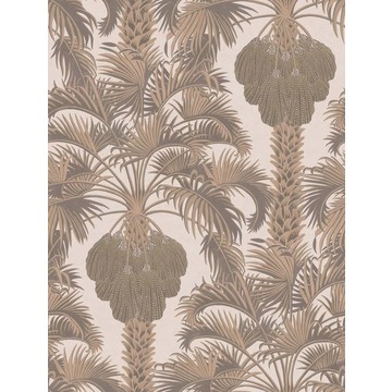 Hollywood Palm 113/1002