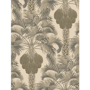 Hollywood Palm 113/1003