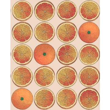 Arance Orange 114/24047