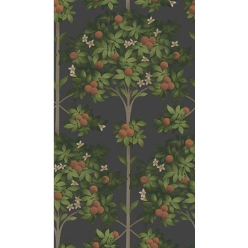 Orange Blossom 117/1003