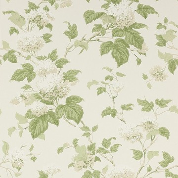 Chantilly Ivory/Leaf 07816/09