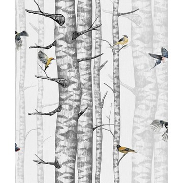 Birch Trees Grey 9500040