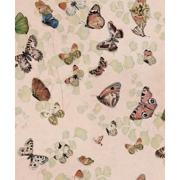 Magic Butterflies Sweet 9500052