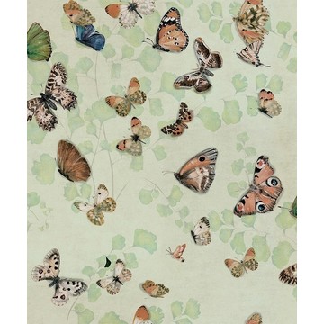 Magic Butterflies Maca 9500053