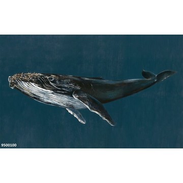 Humpback Whale 950010X (saatavilla 4 eri väriä ja 2 eri materiaalia)