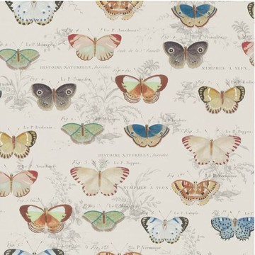 Butterfly Studies Parchment PJD6017/01