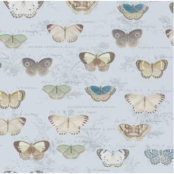 Butterfly Studies Cloud Blue PJD6017/02