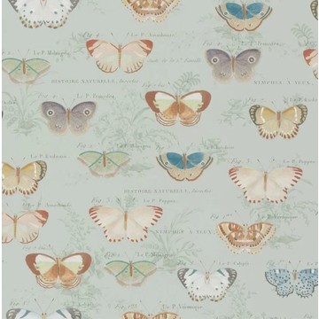 Butterfly Studies Eau De Nil PJD6017/03