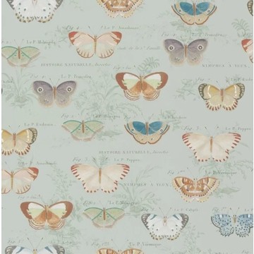 Butterfly Studies Eau De Nil PJD6017/03