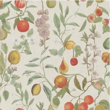 Orchard Fruits Parchment PJD6018/01