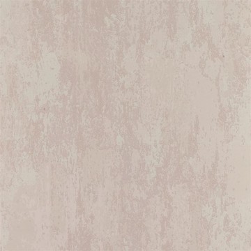 Ajanta Tuberose P555/21