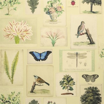 Flora and Fauna Parchment PJD6001/01